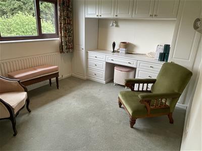 Picture 13